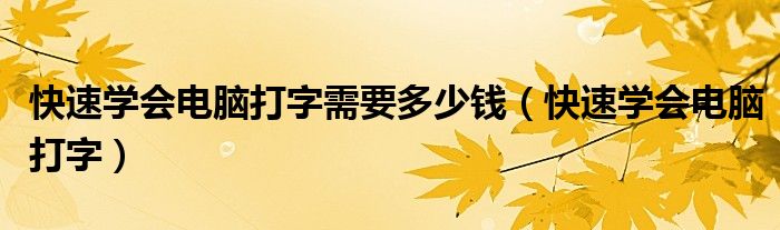 快速學(xué)會(huì)電腦打字需要多少錢(qián)（快速學(xué)會(huì)電腦打字）