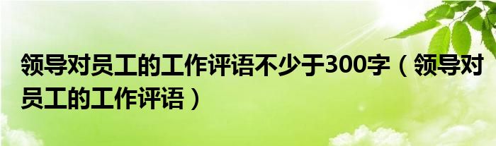 領(lǐng)導(dǎo)對(duì)員工的工作評(píng)語(yǔ)不少于300字（領(lǐng)導(dǎo)對(duì)員工的工作評(píng)語(yǔ)）