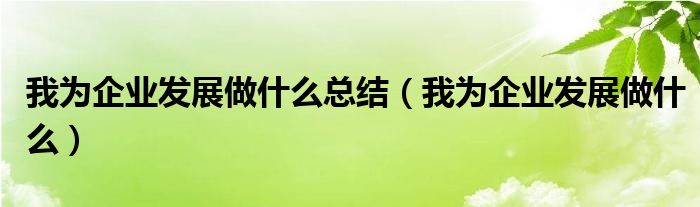 我為企業(yè)發(fā)展做什么總結(jié)（我為企業(yè)發(fā)展做什么）