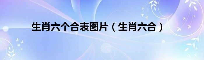 生肖六個合表圖片（生肖六合）