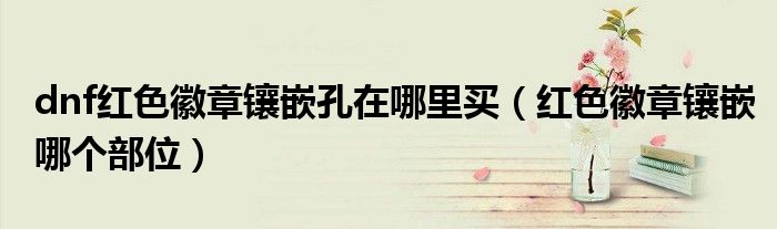 dnf紅色徽章鑲嵌孔在哪里買（紅色徽章鑲嵌哪個部位）