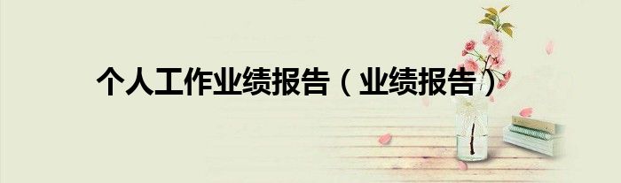 個(gè)人工作業(yè)績報(bào)告（業(yè)績報(bào)告）