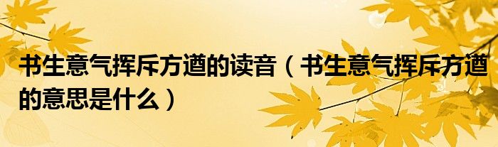 書生意氣揮斥方遒的讀音（書生意氣揮斥方遒的意思是什么）