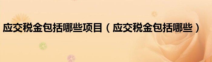 應(yīng)交稅金包括哪些項(xiàng)目（應(yīng)交稅金包括哪些）