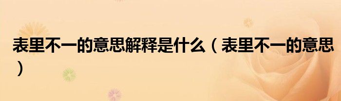 表里不一的意思解釋是什么（表里不一的意思）
