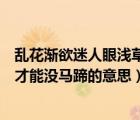 亂花漸欲迷人眼淺草才能沒(méi)馬蹄意思（亂花漸入迷人眼淺草才能沒(méi)馬蹄的意思）