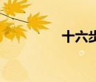 十六步教程（16步教程）