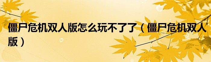 僵尸危機(jī)雙人版怎么玩不了了（僵尸危機(jī)雙人版）