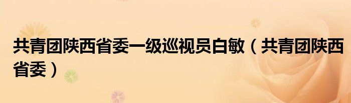 共青團(tuán)陜西省委一級(jí)巡視員白敏（共青團(tuán)陜西省委）