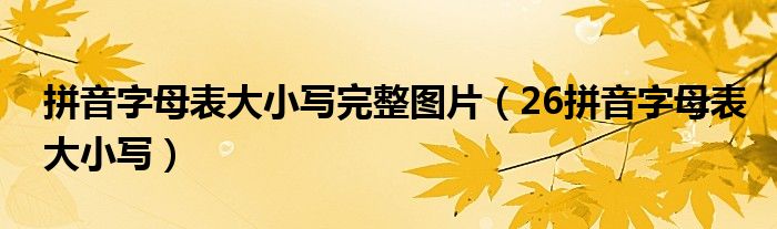 拼音字母表大小寫完整圖片（26拼音字母表大小寫）
