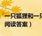 一只狐貍和一只狼的故事（與一只狐貍的博弈閱讀答案）