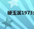 硬玉溪1973金嘴多少錢(qián)一盒（硬玉溪）