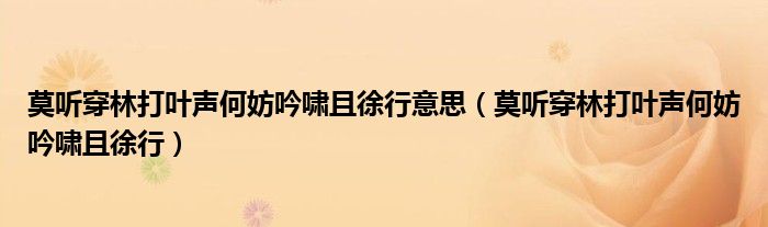 莫聽穿林打葉聲何妨吟嘯且徐行意思（莫聽穿林打葉聲何妨吟嘯且徐行）