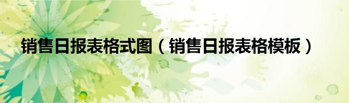 銷售日報表格式圖（銷售日報表格模板）