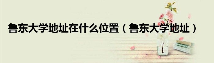 魯東大學(xué)地址在什么位置（魯東大學(xué)地址）