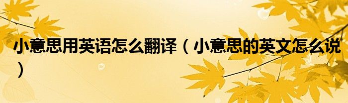 小意思用英語怎么翻譯（小意思的英文怎么說）