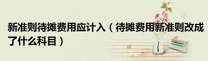 新準(zhǔn)則待攤費用應(yīng)計入（待攤費用新準(zhǔn)則改成了什么科目）
