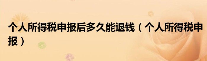 個(gè)人所得稅申報(bào)后多久能退錢（個(gè)人所得稅申報(bào)）