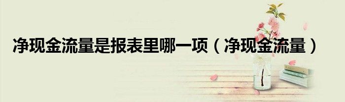 凈現(xiàn)金流量是報(bào)表里哪一項(xiàng)（凈現(xiàn)金流量）
