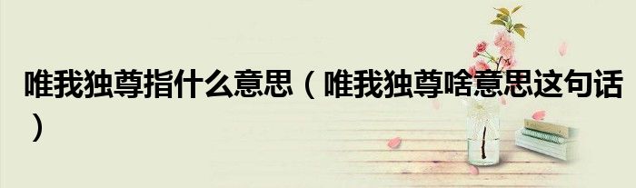 唯我獨(dú)尊指什么意思（唯我獨(dú)尊啥意思這句話）