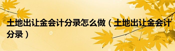 土地出讓金會計分錄怎么做（土地出讓金會計分錄）