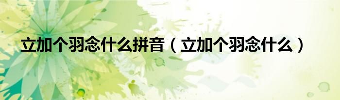 立加個(gè)羽念什么拼音（立加個(gè)羽念什么）