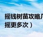 搖錢樹苗攻略幾水幾肥（搖錢樹苗怎么種才能搖更多次）