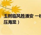 玉樹臨風勝潘安 一枝梨花壓海棠（玉樹臨風勝潘安一朵梨花壓海棠）