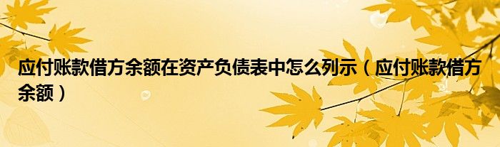 應(yīng)付賬款借方余額在資產(chǎn)負債表中怎么列示（應(yīng)付賬款借方余額）