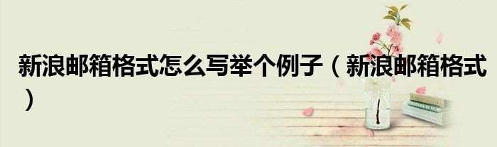新浪郵箱格式怎么寫舉個(gè)例子（新浪郵箱格式）