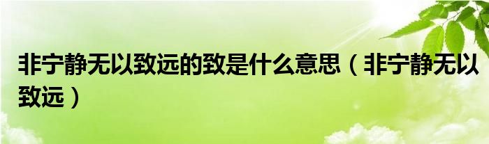 非寧靜無以致遠(yuǎn)的致是什么意思（非寧靜無以致遠(yuǎn)）