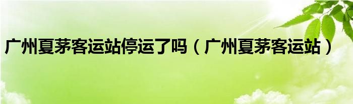 廣州夏茅客運(yùn)站停運(yùn)了嗎（廣州夏茅客運(yùn)站）