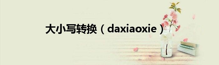大小寫轉(zhuǎn)換（daxiaoxie）