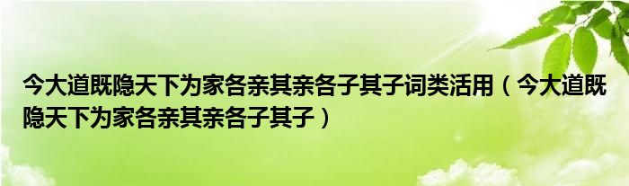 今大道既隱天下為家各親其親各子其子詞類活用（今大道既隱天下為家各親其親各子其子）