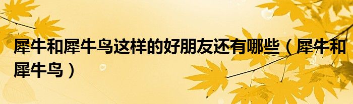 犀牛和犀牛鳥(niǎo)這樣的好朋友還有哪些（犀牛和犀牛鳥(niǎo)）