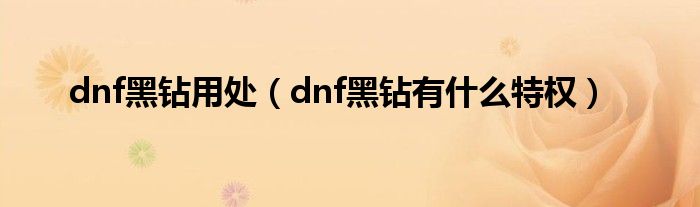 dnf黑鉆用處（dnf黑鉆有什么特權）