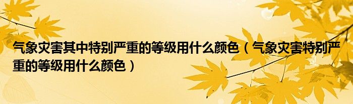 氣象災害其中特別嚴重的等級用什么顏色（氣象災害特別嚴重的等級用什么顏色）