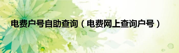 電費戶號自助查詢（電費網(wǎng)上查詢戶號）
