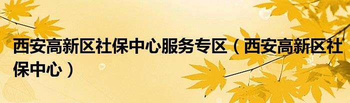 西安高新區(qū)社保中心服務(wù)專區(qū)（西安高新區(qū)社保中心）