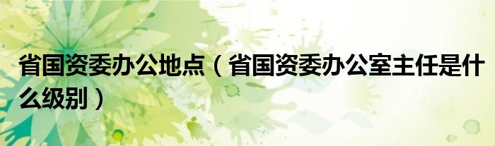省國資委辦公地點（省國資委辦公室主任是什么級別）