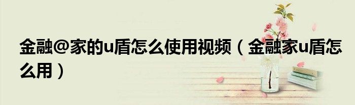 金融@家的u盾怎么使用視頻（金融家u盾怎么用）