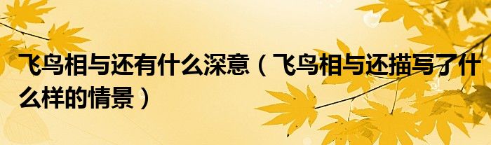 飛鳥相與還有什么深意（飛鳥相與還描寫了什么樣的情景）