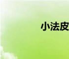 小法皮膚怒角（小法皮膚）