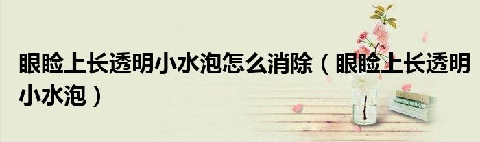 眼瞼上長(zhǎng)透明小水泡怎么消除（眼瞼上長(zhǎng)透明小水泡）