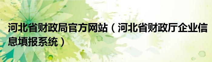 河北省財政局官方網(wǎng)站（河北省財政廳企業(yè)信息填報系統(tǒng)）