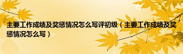 主要工作成績及獎懲情況怎么寫評初級（主要工作成績及獎懲情況怎么寫）