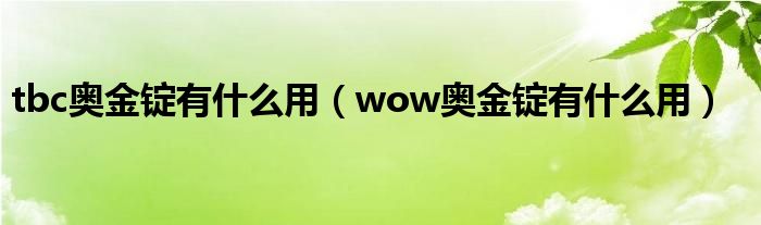 tbc奧金錠有什么用（wow奧金錠有什么用）