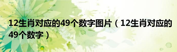 12生肖對應(yīng)的49個數(shù)字圖片（12生肖對應(yīng)的49個數(shù)字）