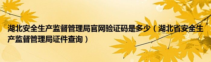湖北安全生產(chǎn)監(jiān)督管理局官網(wǎng)驗證碼是多少（湖北省安全生產(chǎn)監(jiān)督管理局證件查詢）