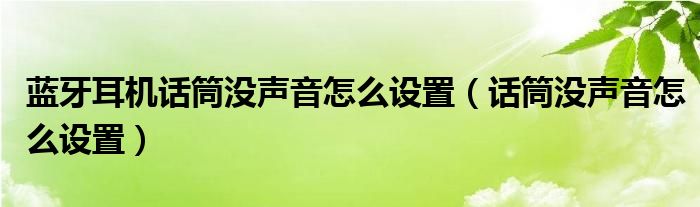 藍(lán)牙耳機(jī)話筒沒聲音怎么設(shè)置（話筒沒聲音怎么設(shè)置）